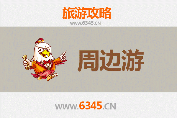 中山东凤镇周边游全攻略：探索岭南水乡与美食之旅